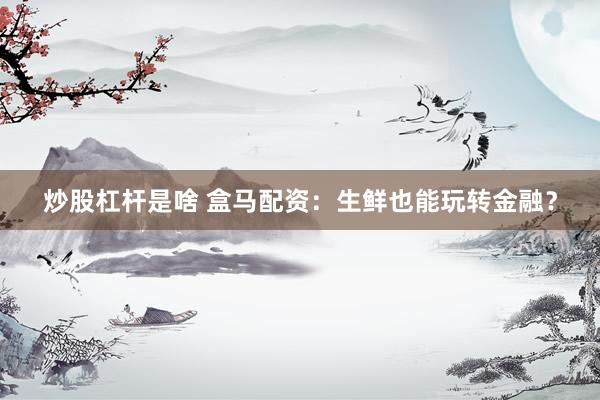 炒股杠杆是啥 盒马配资：生鲜也能玩转金融？