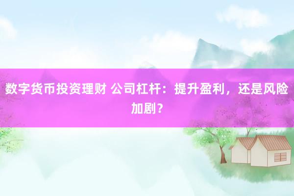 数字货币投资理财 公司杠杆：提升盈利，还是风险加剧？