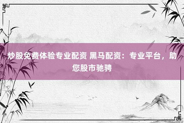 炒股免费体验专业配资 黑马配资：专业平台，助您股市驰骋
