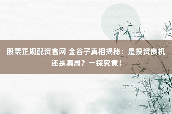 股票正规配资官网 金谷子真相揭秘：是投资良机还是骗局？一探究竟！