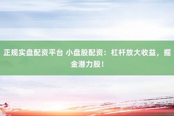 正规实盘配资平台 小盘股配资：杠杆放大收益，掘金潜力股！