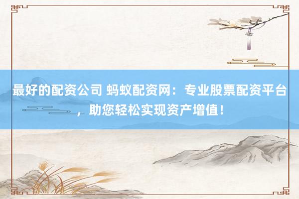最好的配资公司 蚂蚁配资网：专业股票配资平台，助您轻松实现资产增值！