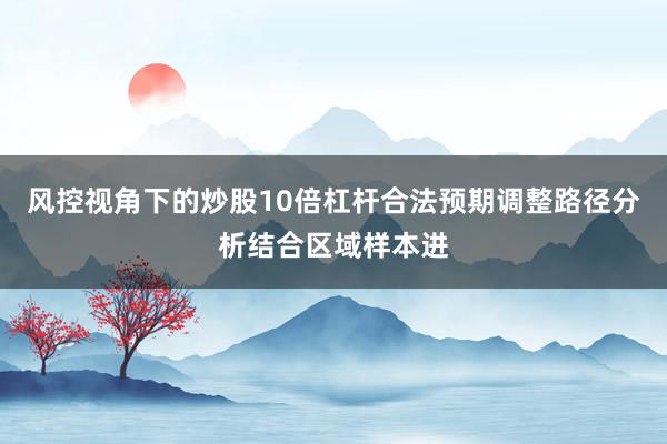 风控视角下的炒股10倍杠杆合法预期调整路径分析结合区域样本进