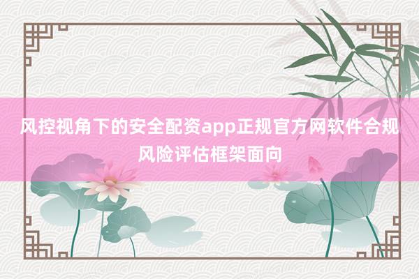风控视角下的安全配资app正规官方网软件合规风险评估框架面向