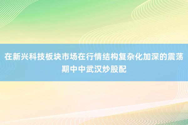 在新兴科技板块市场在行情结构复杂化加深的震荡期中中武汉炒股配