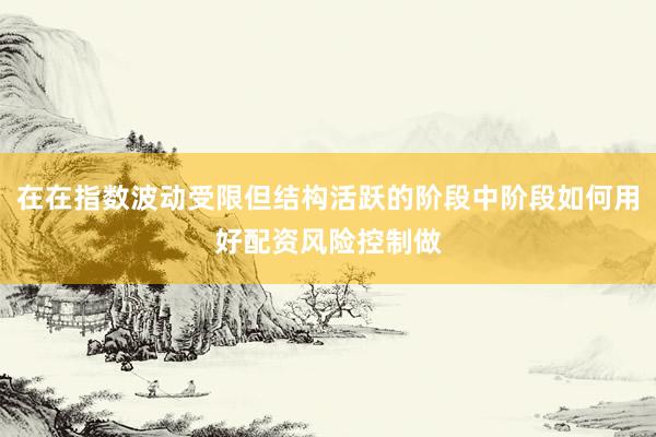 在在指数波动受限但结构活跃的阶段中阶段如何用好配资风险控制做
